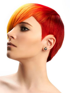 Elegant Punk Hairstyles Color, Punk Hairstyles Color, Color Hairstyles Color, Punk Hairstyles