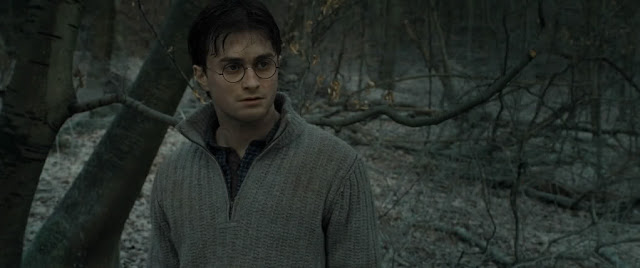 harry and the deathly hallows part 2 download harry and the deathly hallows part 2 download