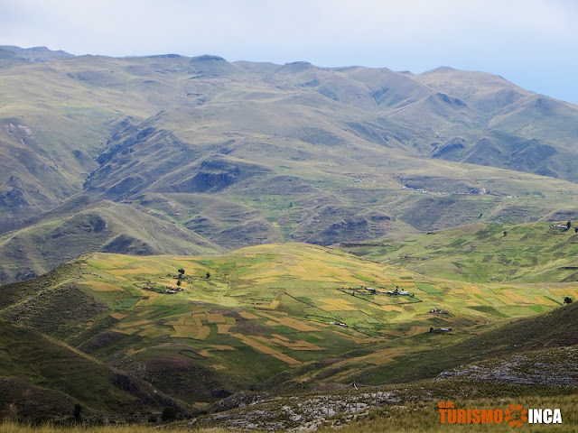 Hampatura Cuzco