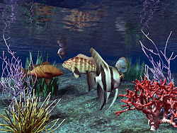 wallpapers desktop moving windows backgrounds 3d animated fish computer