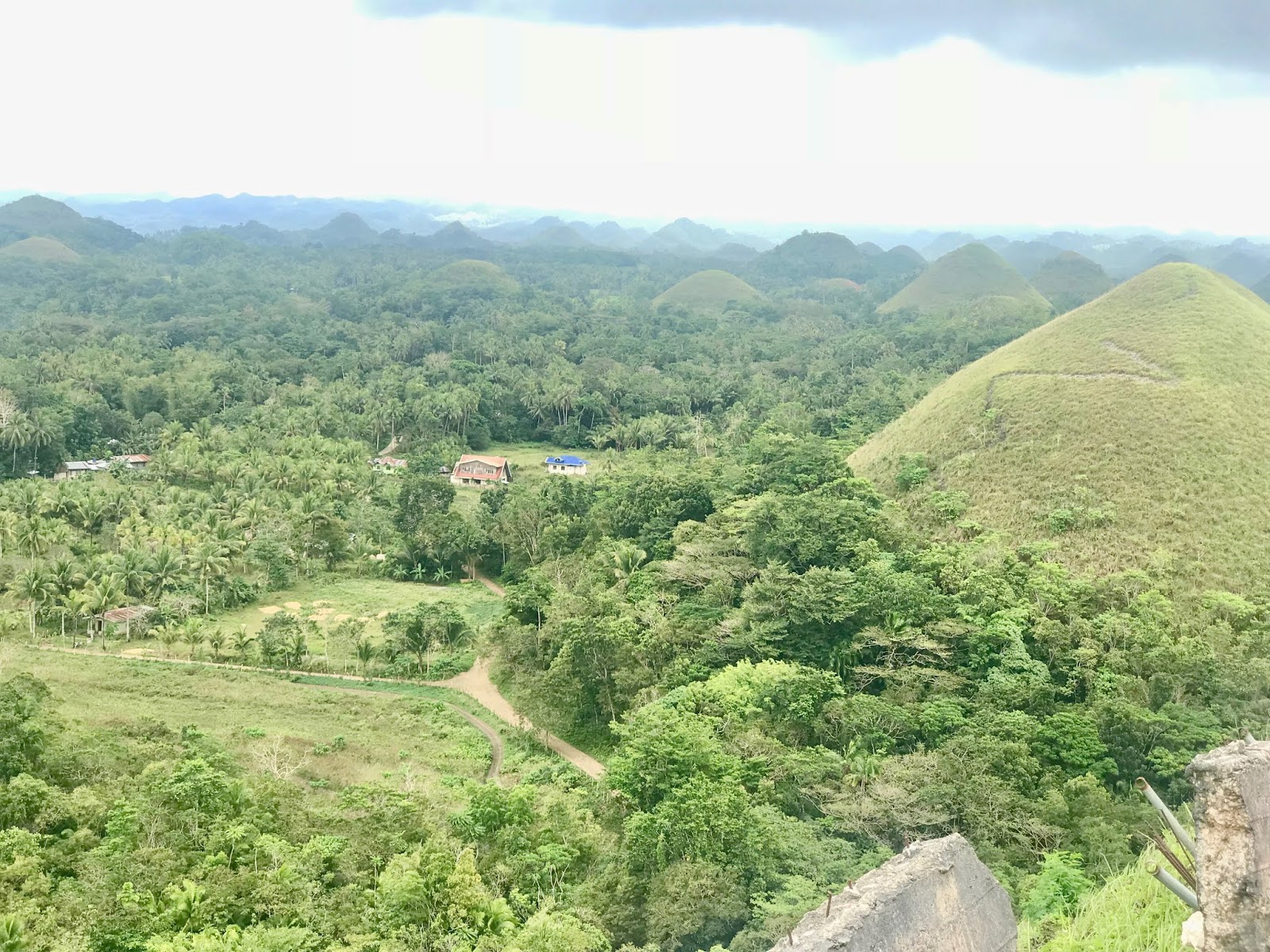 Plan your own Bohol Tour The Island of Tarsiers and Chocolate Hills