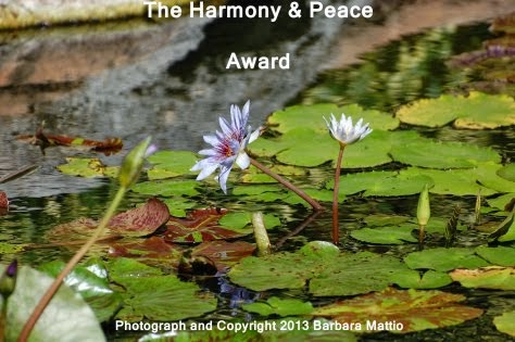 Harmony & Peace Award December 2014