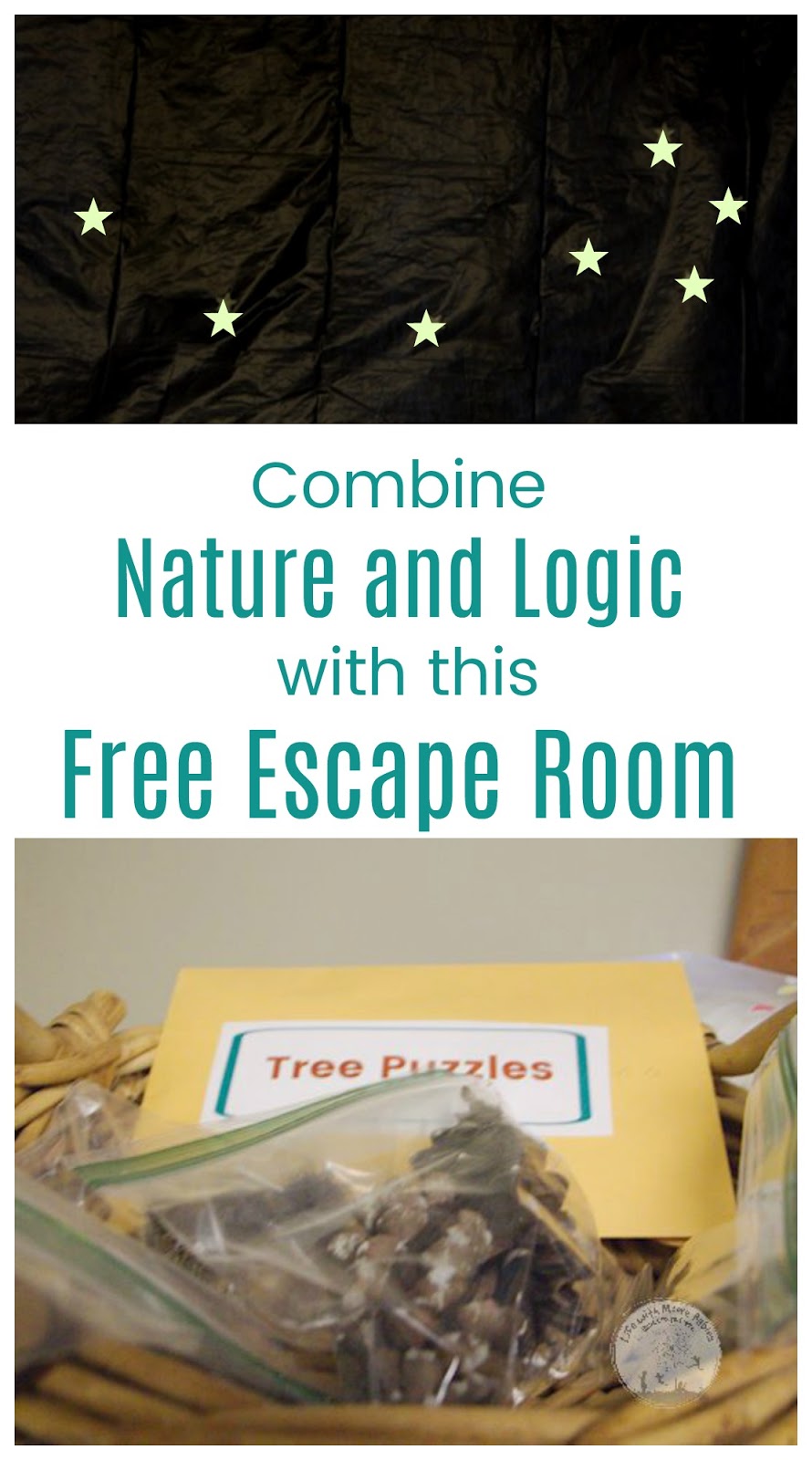 Combine Logic and Nature with this Free Escape Room Life with Moore