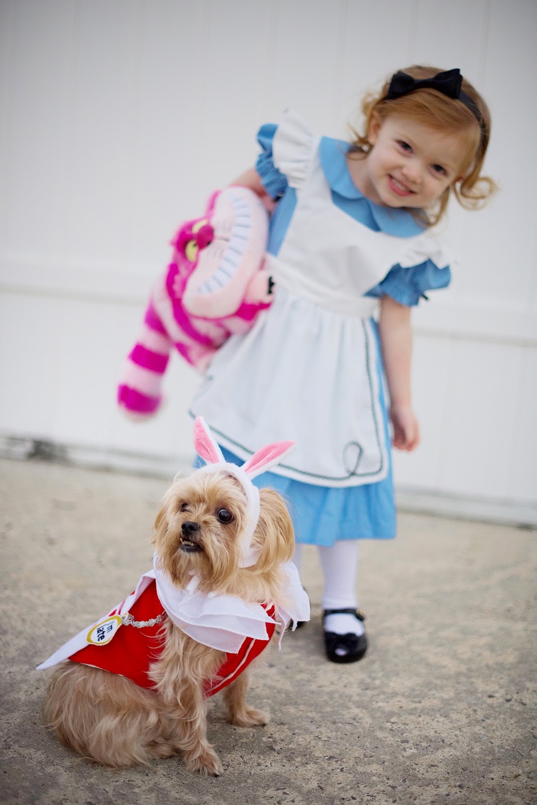 Alice in Wonderland Halloween - Something Delightful Blog