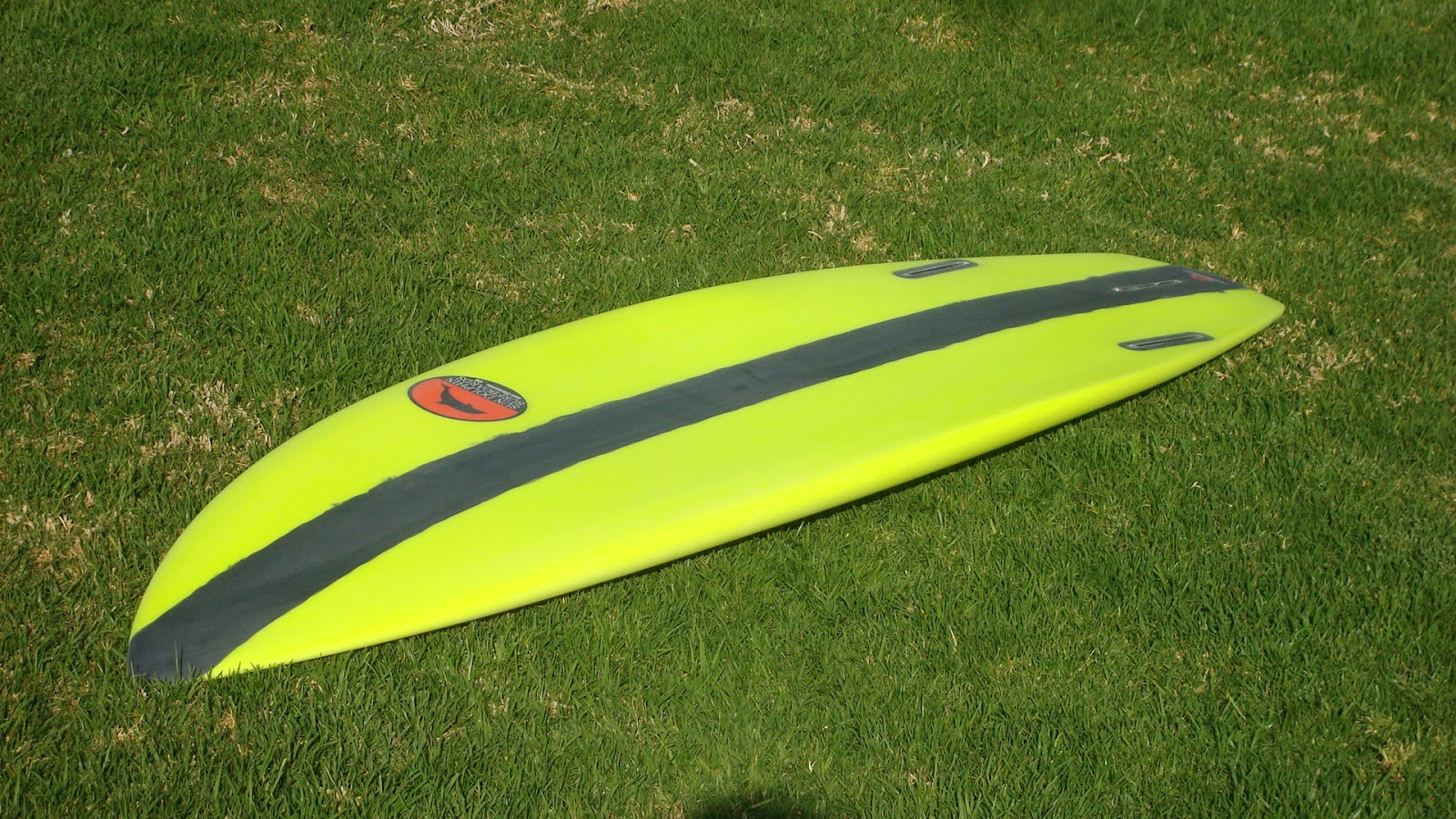 SUN DOLPHIN SURFBOARDS 5'8" Shovel Nose Shark x Carbon Fiber Cloth