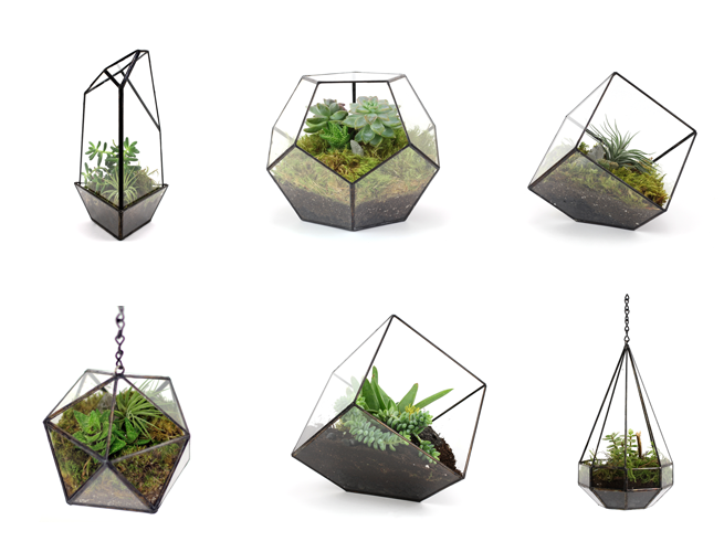 Handmade Hanging And Table top plants Terrariums