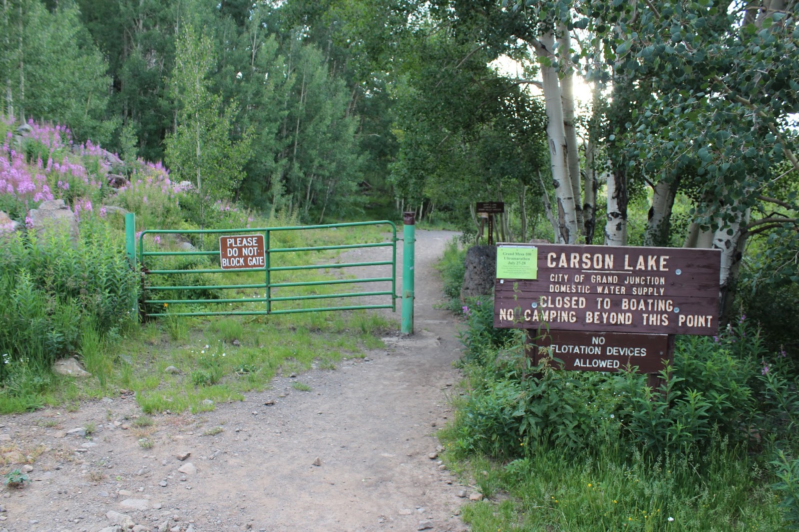 Colorado Mountain Gardener Currant Appeal