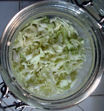 sauerkraut crock with shredded cabbage