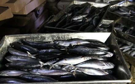 Tin kho tin: Xe dai ta, chuong ga nha van, ong Pho 'sup lo chan trau' va Chu tich noi that! - Anh 4