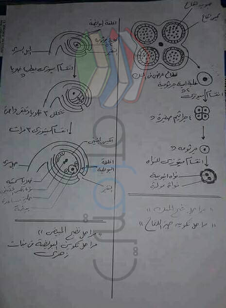 رسومات الاحياء للصف الثالث الثانوى