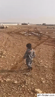 001.gif