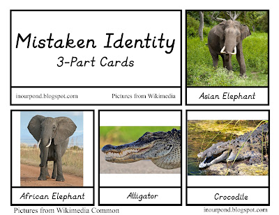 FREE Mistaken Identity Animal Printables from In Our Pond