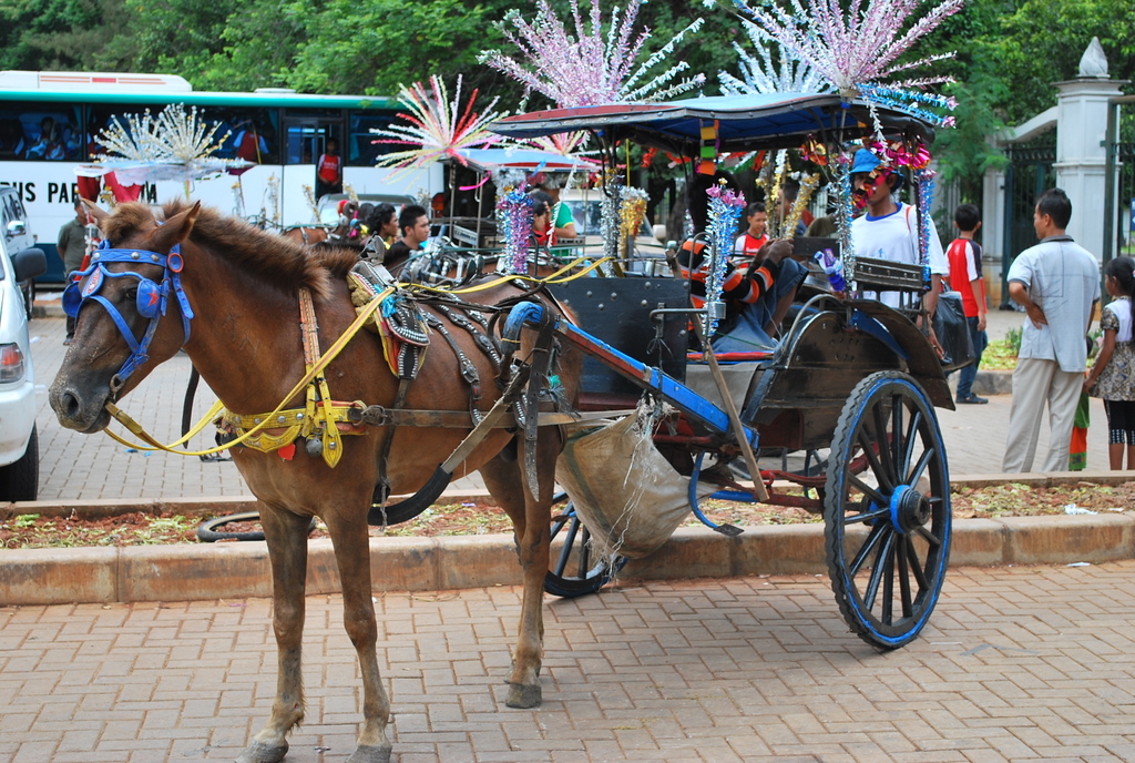 Alat Transportasi Zaman Dulu ~ Geng Petak Umpet