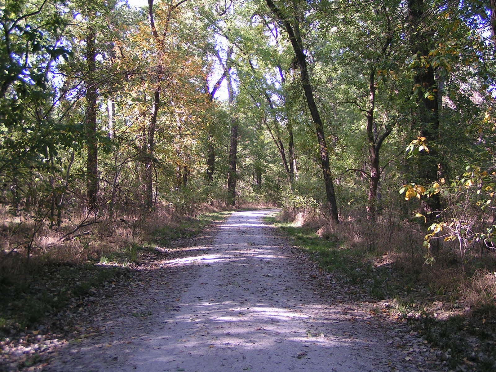 Discover the World 380Green Belt Park, Denton