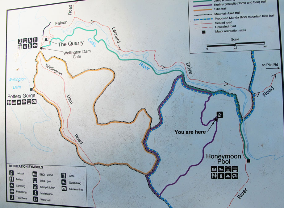 Life Images by Jill Camping at Potter's Wellington Dam, Western