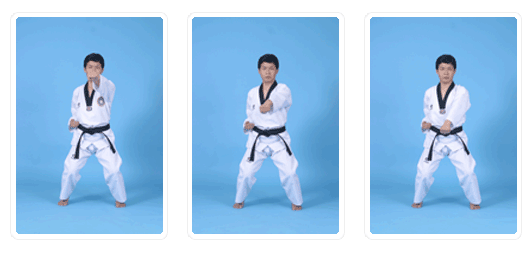 Gerakan Dasar Taekwondo (Basic Movements) ~ DEMOS Martial ARTS School