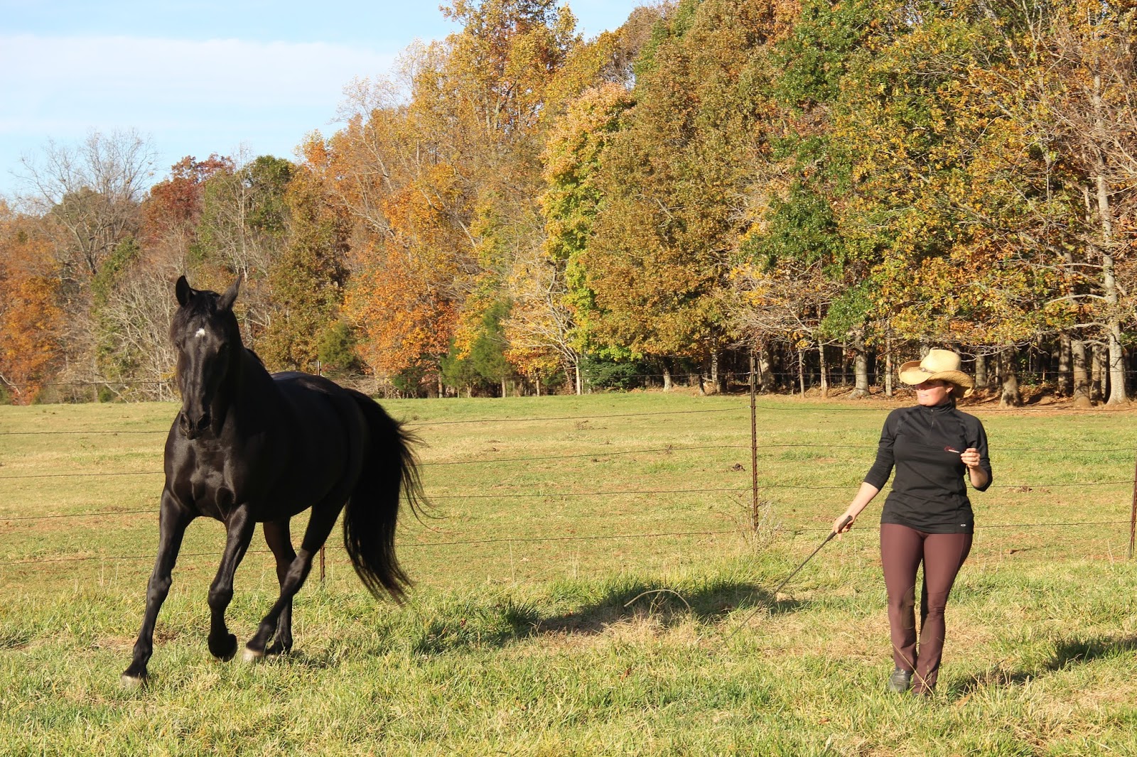 Cooler Horsemanship Flexion In Motion