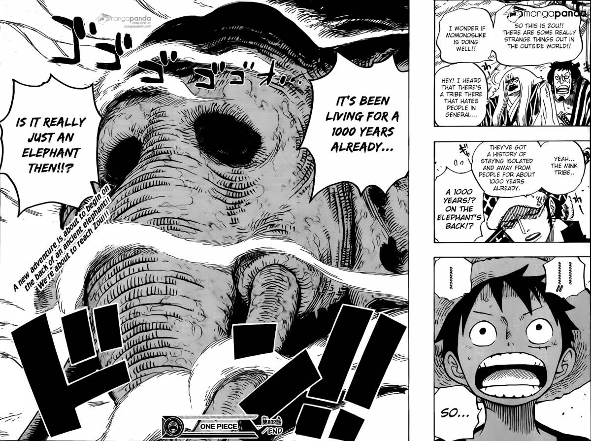 One Piece Ch 802: Zou