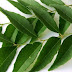 Benefits of Curry Leaves - Don't skip!!!