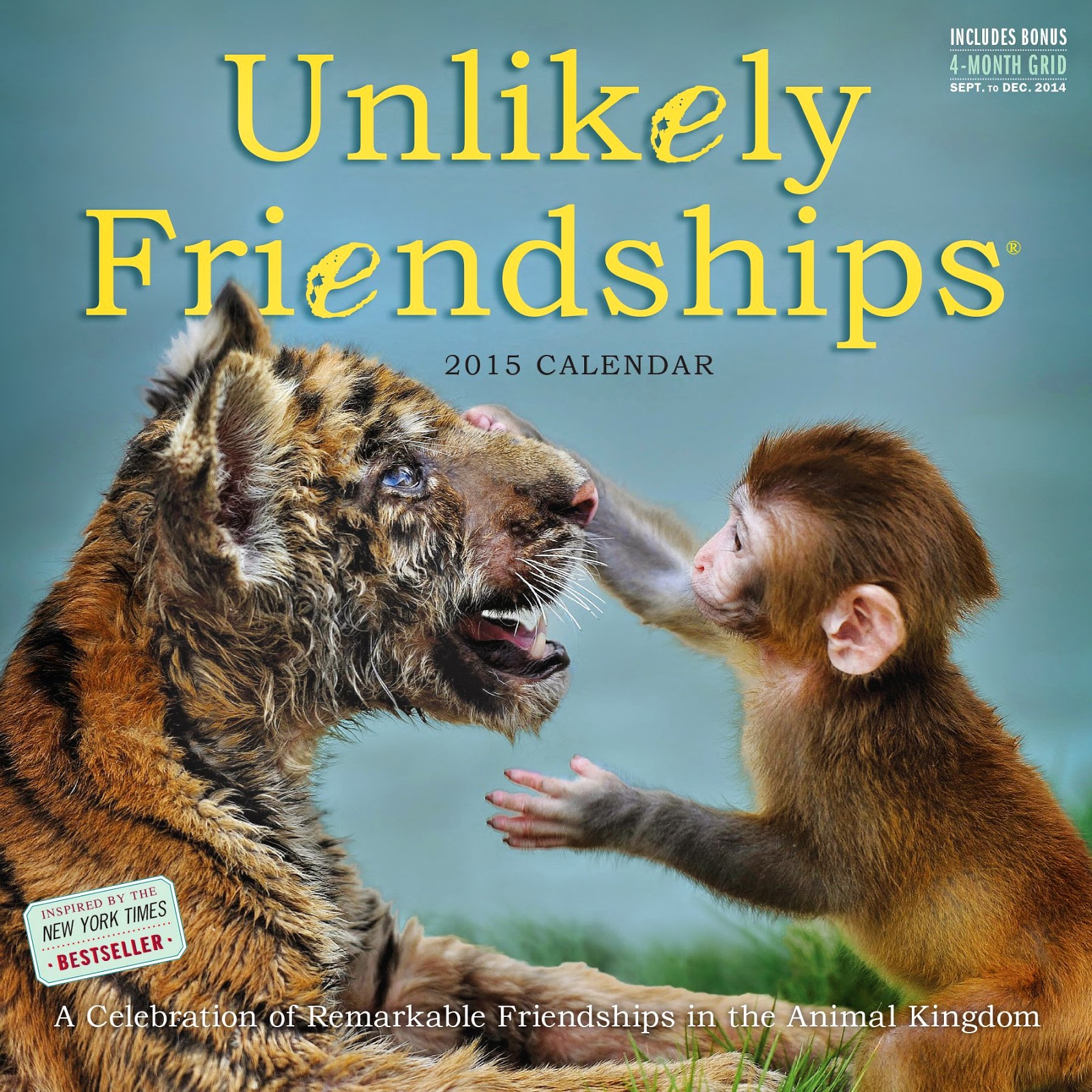 unlikely-friendships-2015-wall-calendar-best-calendars-for-2016