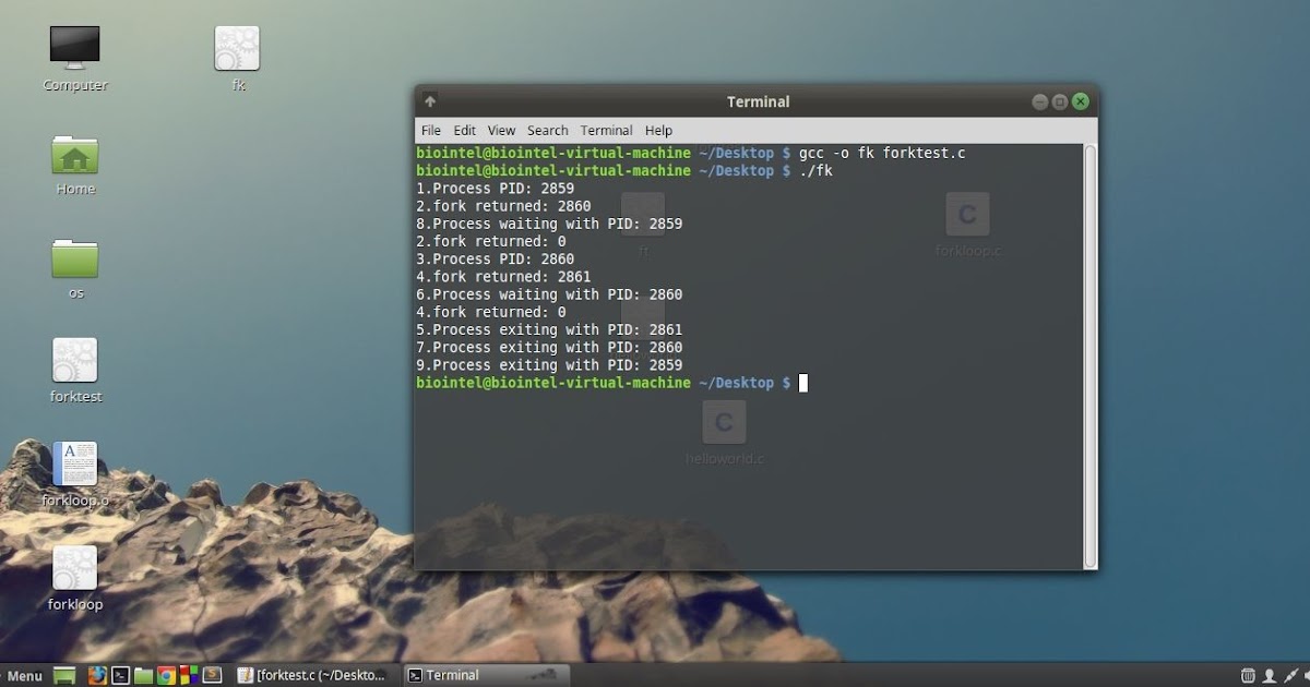 Operating System Creating Child Process and Tracing Output