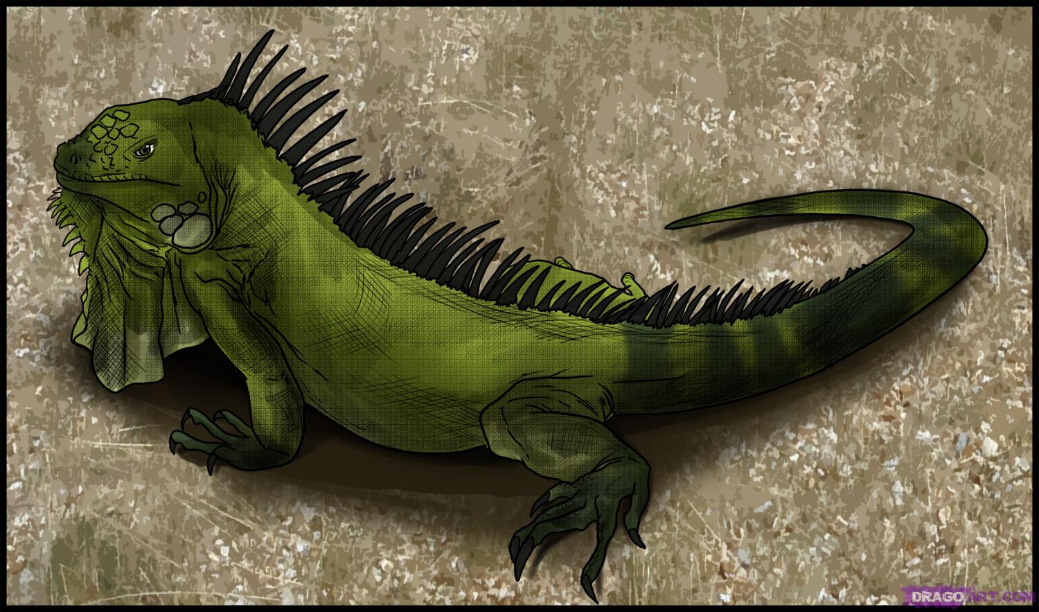 iguana green peru