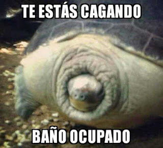 imagenes para whatsapp, frases de risa, chistosas, divertidas, graciosas para whatsapp imagenes para whatsapp, frases de risa, chistosas, divertidas, graciosas para whatsapp