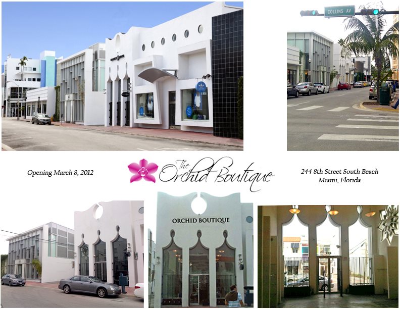 Orchid Boutique Swimwear