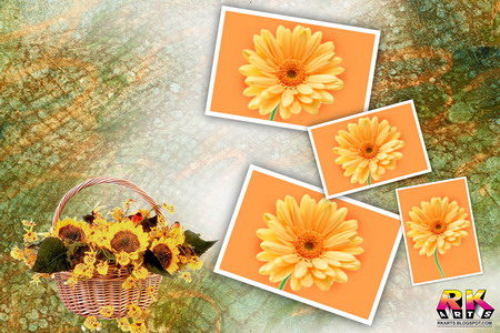  Photo album flower pot four photo frame template 