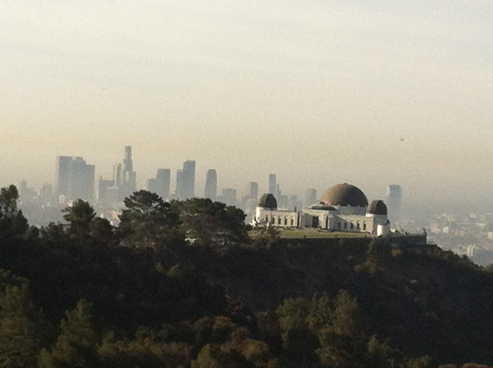 my-hiking-trails-adventures-berlin-forest-griffith-park-trails