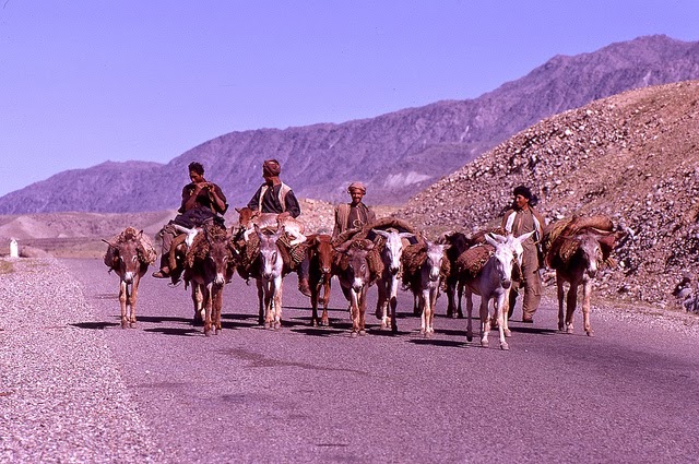 Color Photos of Afghanistan in 1969 ~ vintage everyday