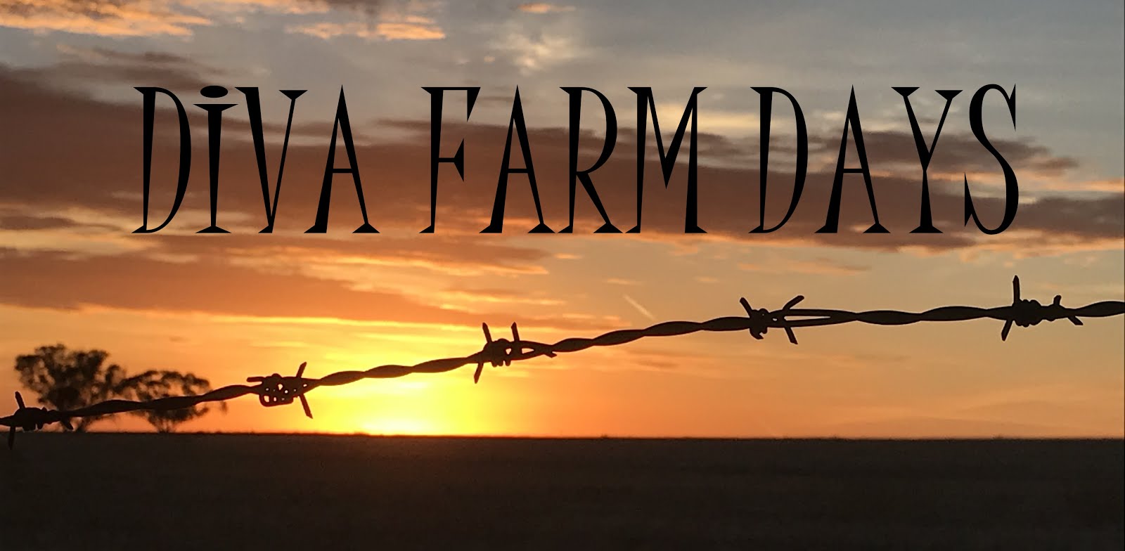 Diva Farm Days