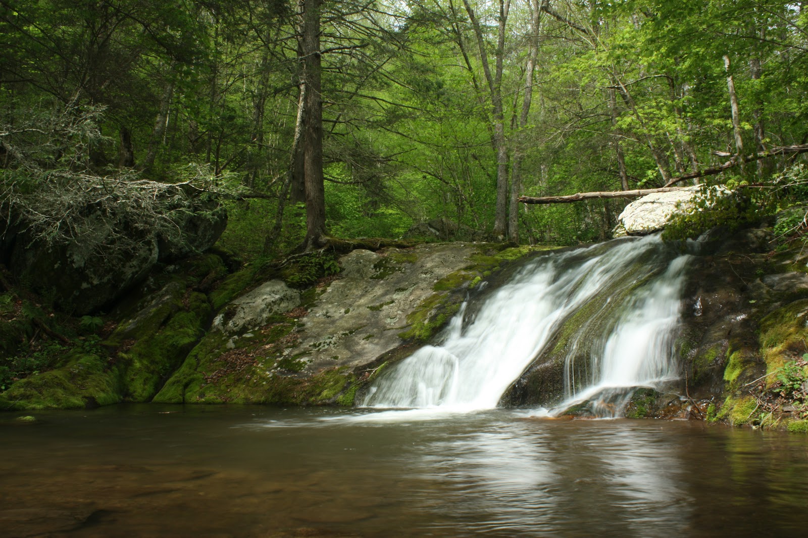 Hiking Shenandoah Rapidan Camp Loop