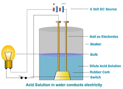 CBSE Class 10th Science | Chapter 2. Acids, Bases and Salts | Solved
