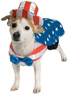  uncle sam dog costume