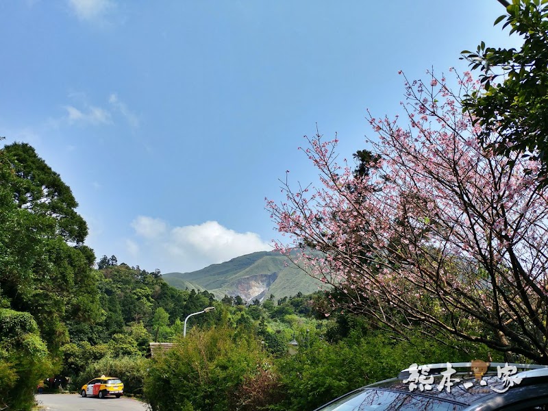 竹子湖炒青菜|陽明山頂湖餐廳|備停車場近頂湖海芋步道|白斬雞地瓜湯好吃