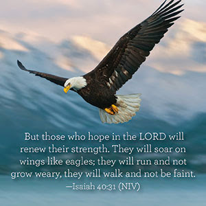 Always hope in the Lord...