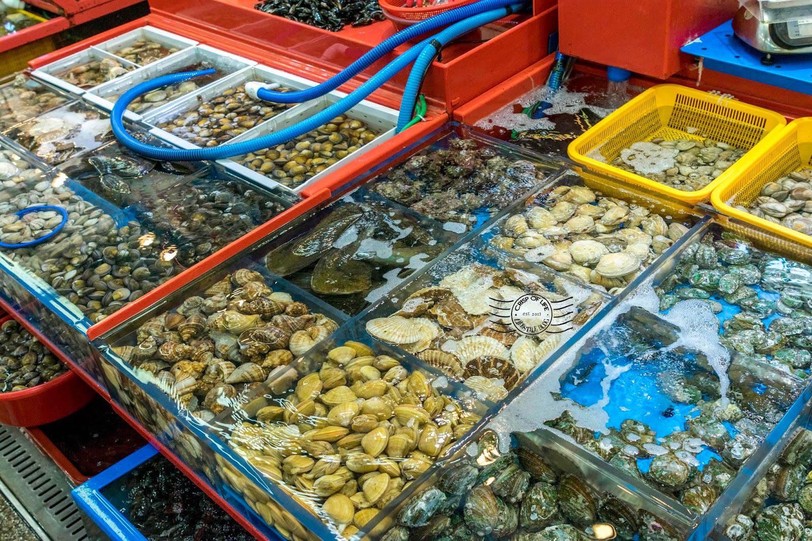 Jagalchi Fish Market Largest Seafood Market in Korea Busan, South