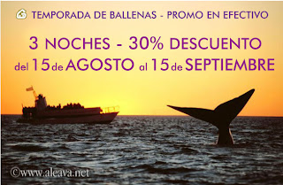 Avistagem de Baleia Promoção Cash - Ofertas