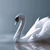 EL CISNE