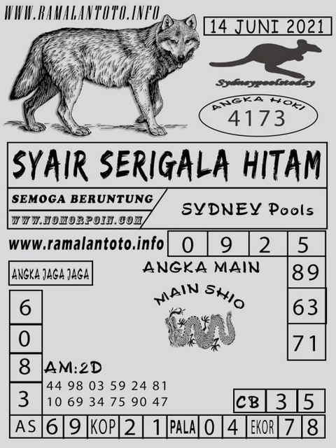 gambar togel sydney