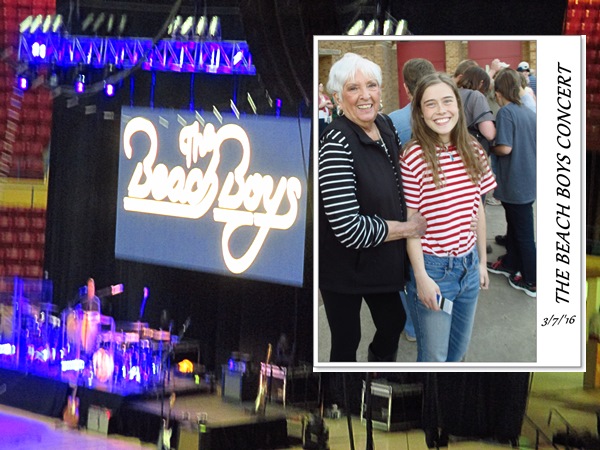 The Beach Boys Concert with Deeds