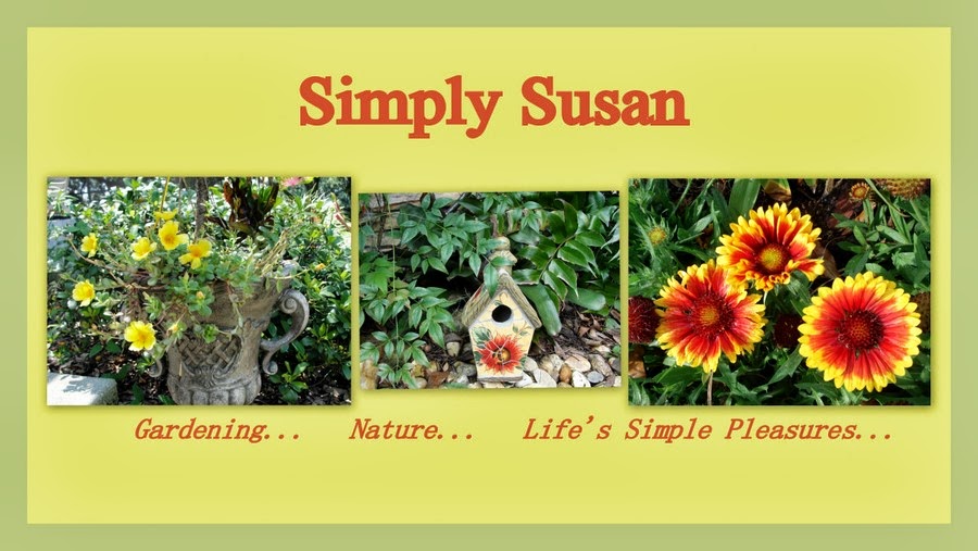Simply Susan