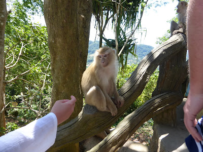 Monos, templo Gran Buda Phuket, Tailandia, La vuelta al mundo de Asun y Ricardo, vuelta al mundo, round the world, mundoporlibre.com