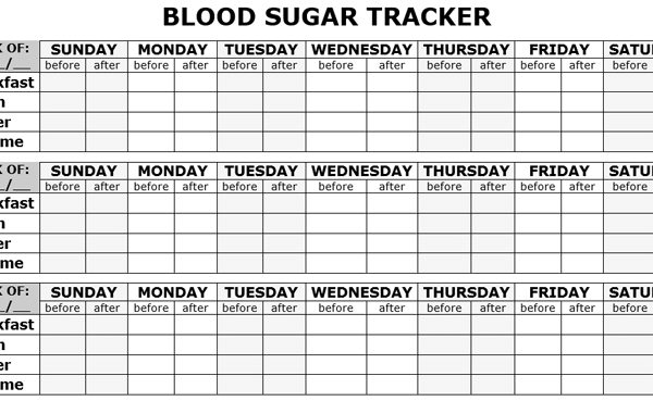 blood-sugar-log-template-in-pdf-format
