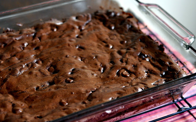 Taste As You Go Ultimate Chocolate And Peppermint Brownies And A