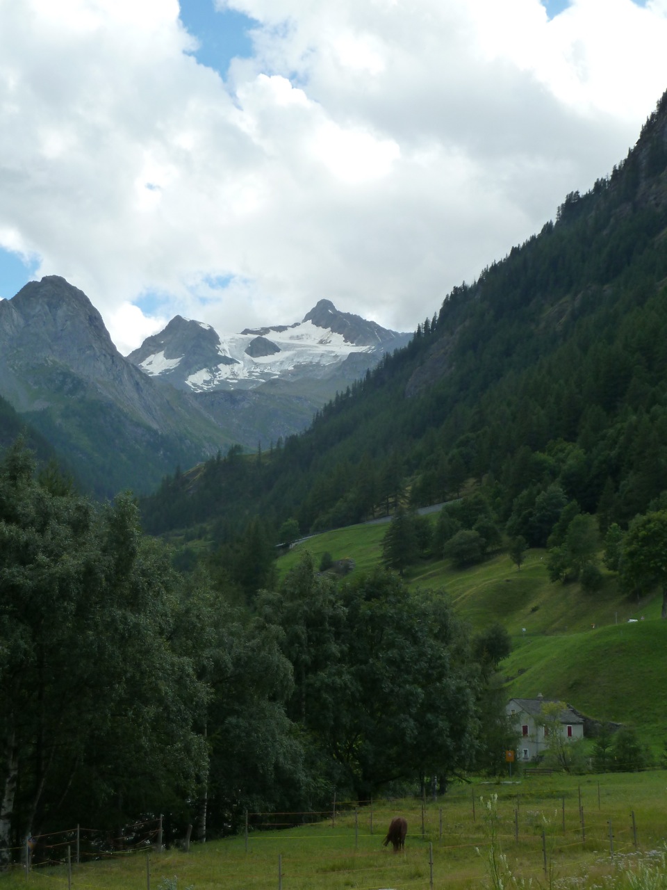 The Shaw Adventure Update from Morel Switzerland