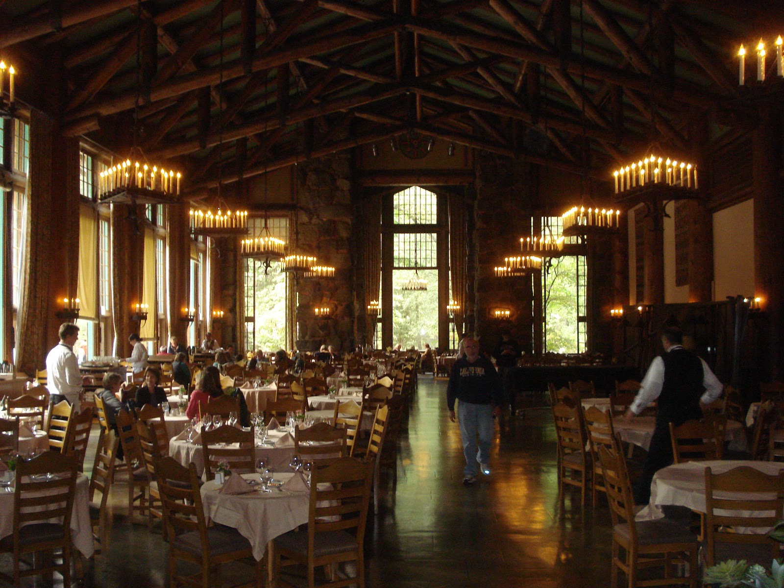 With Strings Attached Road Scholar Yosemite