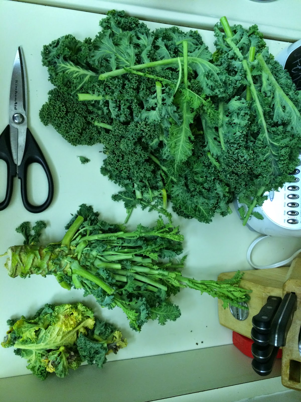 The Pure Gal How To Freezing Kale