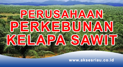 Perusahaan Perkebunan Kelapa Sawit Pekanbaru